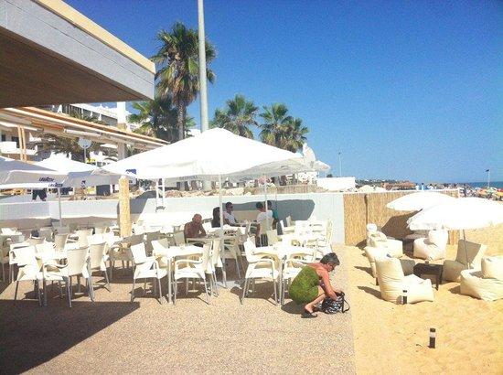 Coral Beach Bar