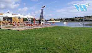 Wake Salinas