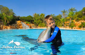 Dolphin emotions