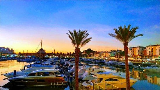 Harbour View