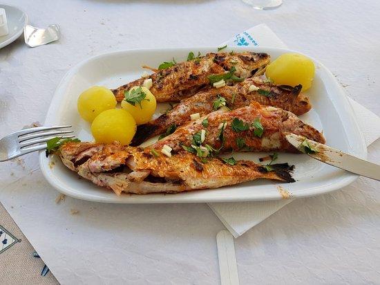 Restaurante Cuca