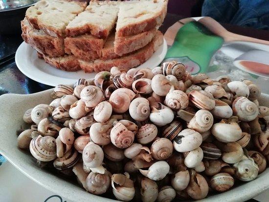 O Holandês dos Caracois