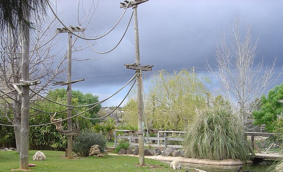 Zoo de Lagos