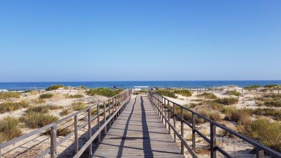 Praia Alagoa