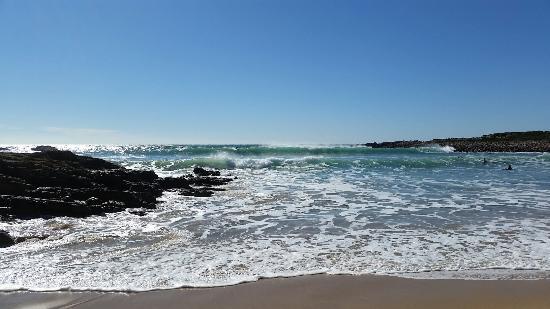 Strand Ingrina