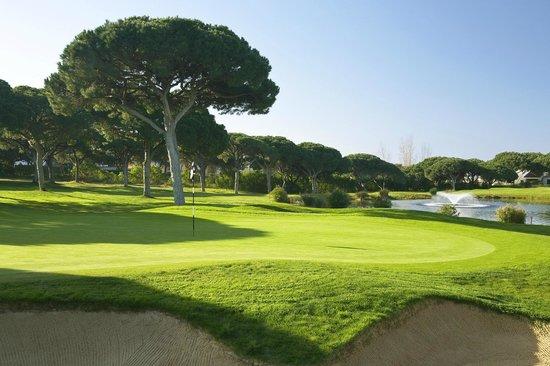 Lesters Golf