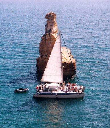 Catamaran Vital