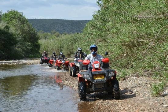 Quinta Quads