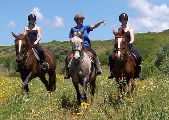 Tiffany's Riding Centre