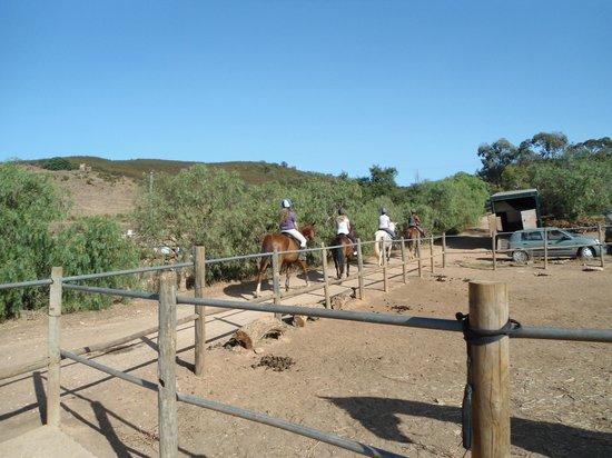 QPA Horse Riding Centre
