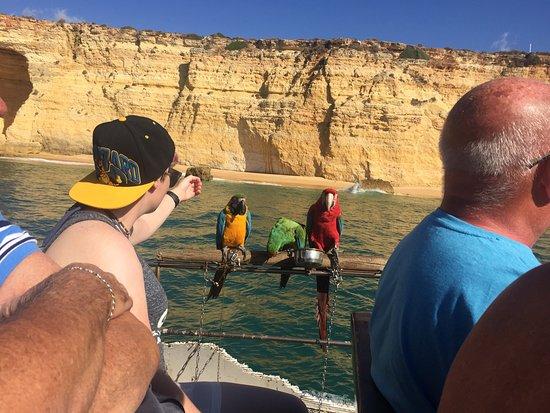 Holiday Boat Rent