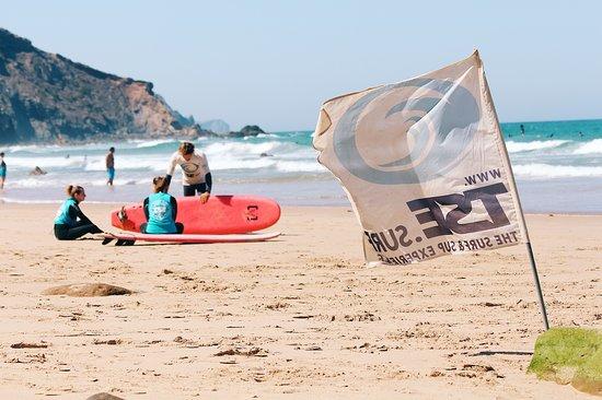 TSE The Surf Experience