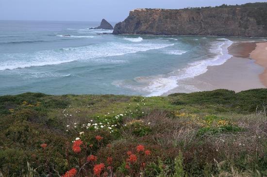 Odeceixe Surf School