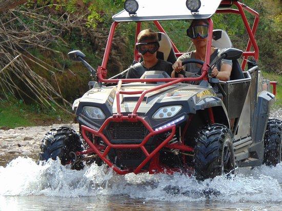 Buggy Safari