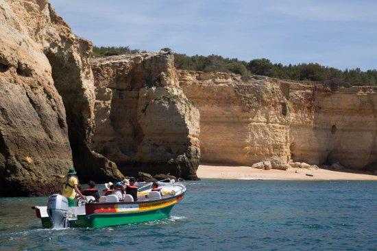 Allarade Tours