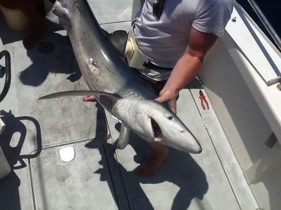 Big Game Reel Adventure Fishing Centre