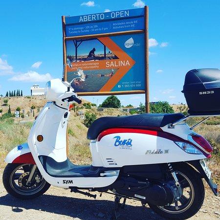 Bcool Scooters & Company