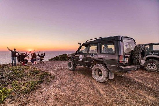 SouthWest Nature Tours