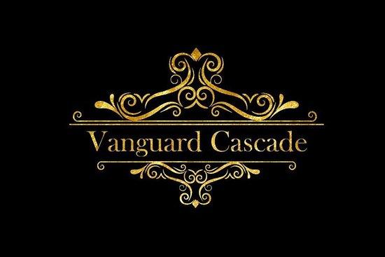 Vanguard Cascade Transfers
