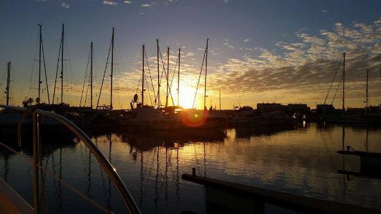 Florencia Cruises