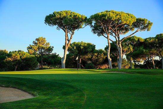 Golfclub The Old Course