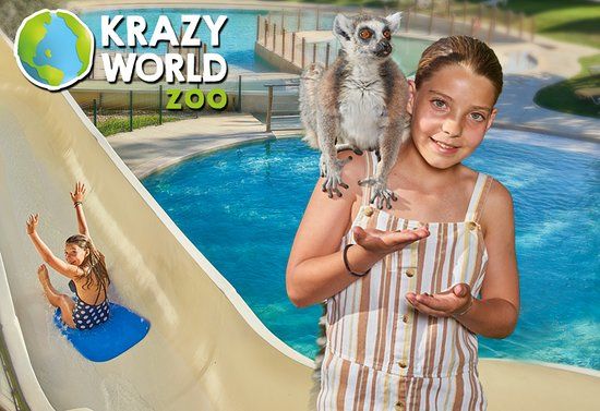 Krazy World