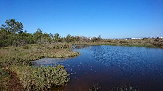 Parque Natural da Ria Formosa