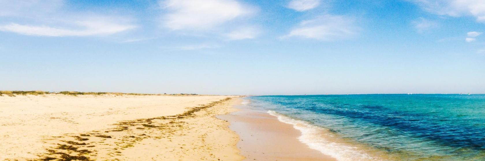 la plage Terra Estreita